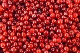 cranberry berry