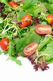 Green salad and tomatoes