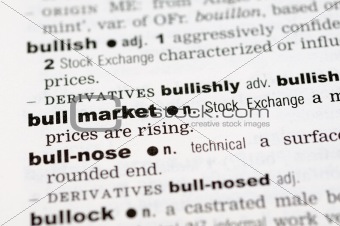 Dictionary definition of bull market