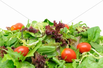 Green salad background
