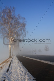 snow field in fog