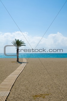 Beach Walkway