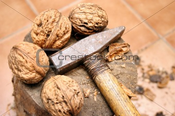 walnuts and hammer 