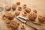 walnuts and nutcracker