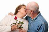 Happy Senior Couple with Red Rose Kissing Isolated on a White Background.