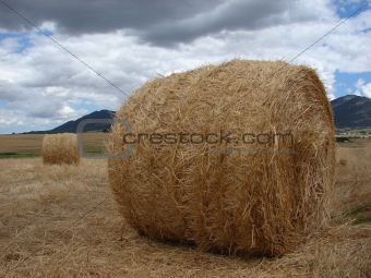 Rolled Bale