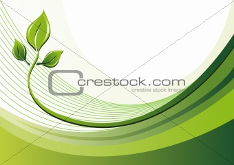 Nature background and leaves