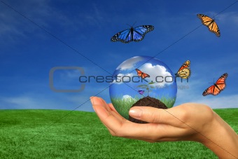 Taking Care of the Earth With Woman Holding Seedling 