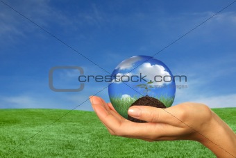 Seedling Sprouting in a Womans Hand
