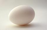 eggable