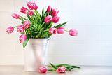 Pink tulips in white metal container