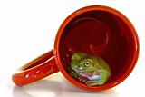 Frog Cup