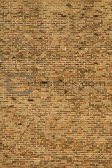brick wall #2