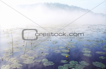 Morning fog on wild forest lake in Karelia