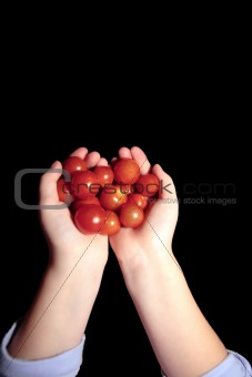 hand some tomatoes 2