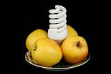 Bulb and apples on a plate
