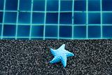 Plastic starfish