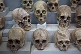 Ancient Skulls
