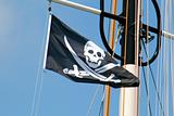 Pirate Flag - pirate skull symbol 