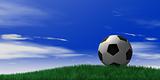 soccer ball on grassand sky background