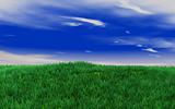 green fields on the blue sky