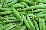 Washed green peas