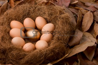 Egg series : Be different (with background)