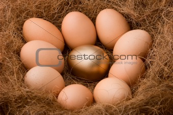 Egg series : One golden between nine ordinaries - zoom