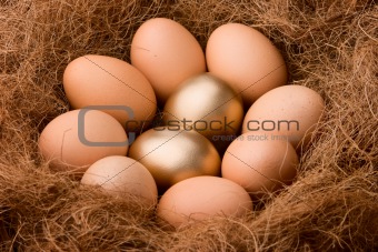 Egg series : Probability 2:8 - zoom