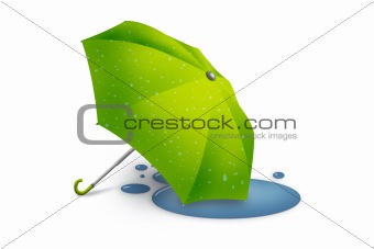 umbrella after rain