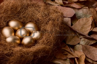 Egg series : Seven golden eggs (with background)