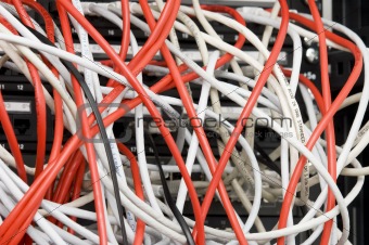 several white and red computer data cables