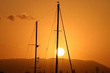 Masts In The Sun