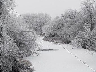 Frosted Creek Bank