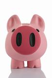 Pink Piggy Bank (moneybox)
