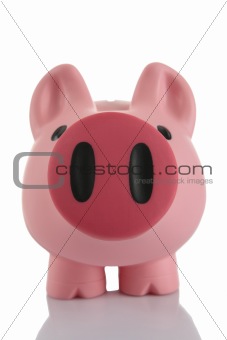Pink Piggy Bank (moneybox)
