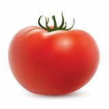 Big ripe tomato isolated on white