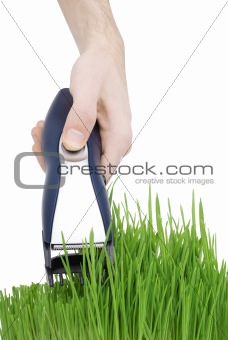 Cut grass