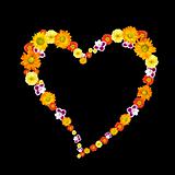 decorative heart symbol from color flowers