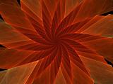 Orange Spiral Flower