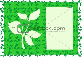 green floral frame
