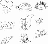 Uk, british wildlife line illustrations