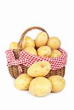 Potatoes in the basket