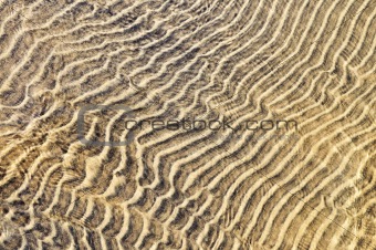 Sand ripples in shallow water