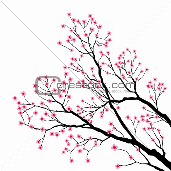 Tree Branches with Pink Flowers