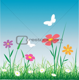 Grass and Flowers