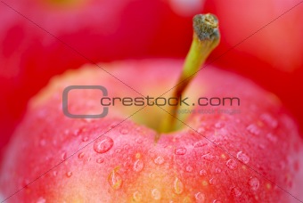 Red apples macro