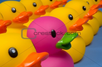 Dare to be different - rubber ducks on blue