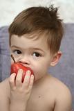 The nice boy eats a red pear