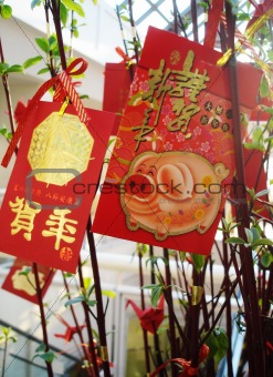 Cards for Year of the Pig - Chinese New Year